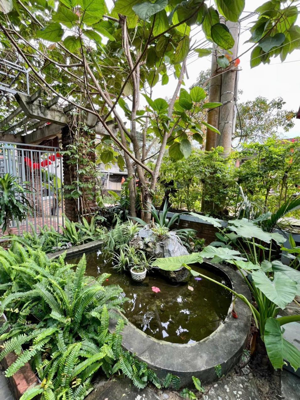 An An Homestay Bungalow Phong Nha Exterior foto
